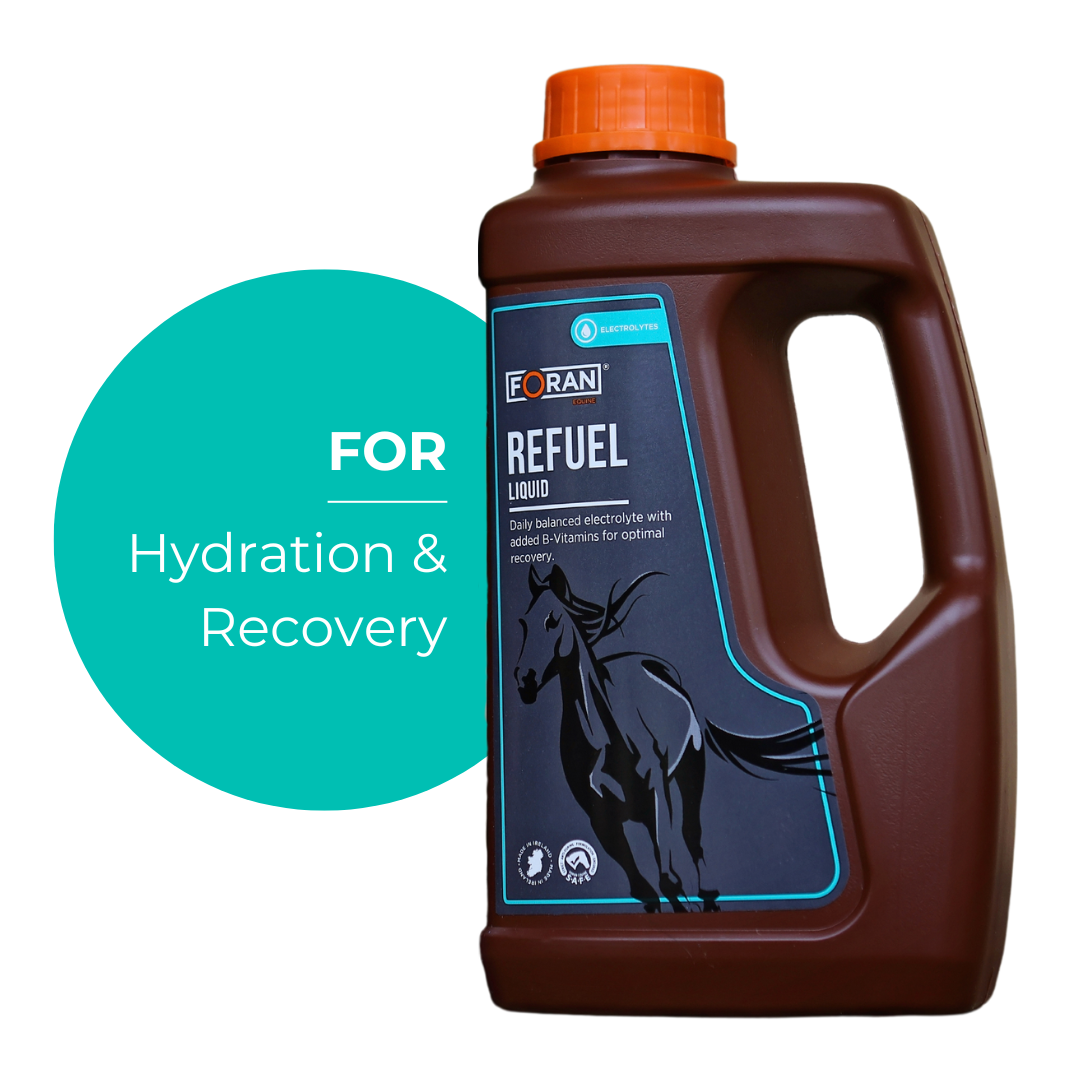 Foran Equine Refuel Liquid