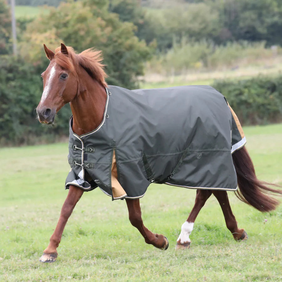 Shires Highlander Plus 50g Turnout Rug