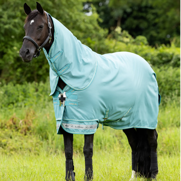 LeMieux Arika Ripstop 50g Turnout Rug in Lagoon