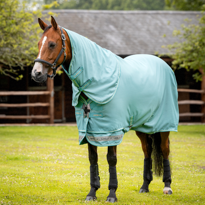 LeMieux Arika Ripstop 0g Turnout Rug in Lagoon