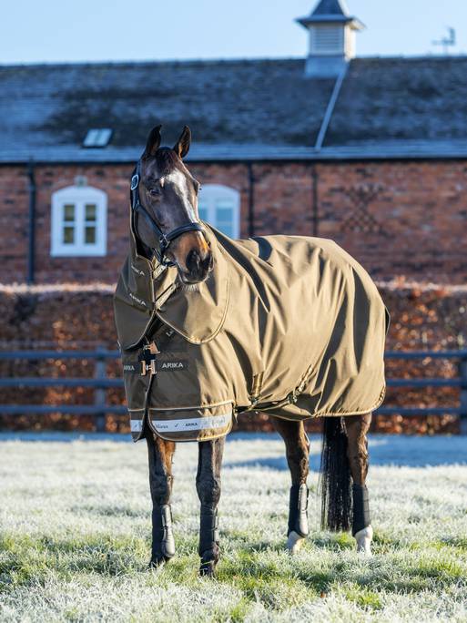 LeMieux Arika Ripstop 200g Turnout Rug