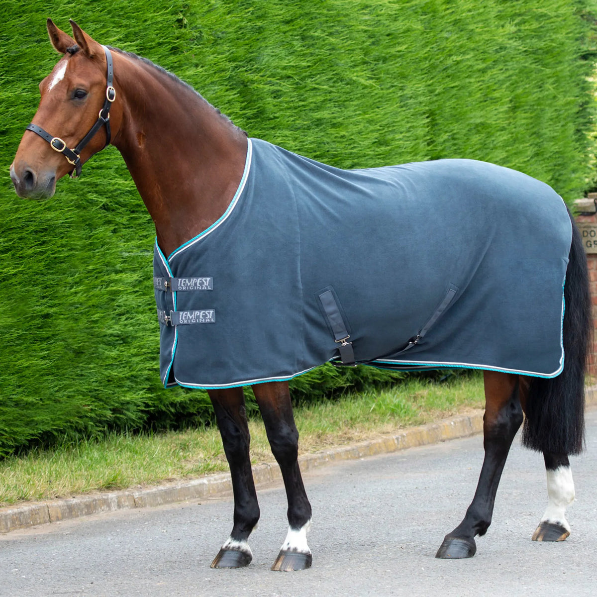 Shires Tempest Original Fleece Rug