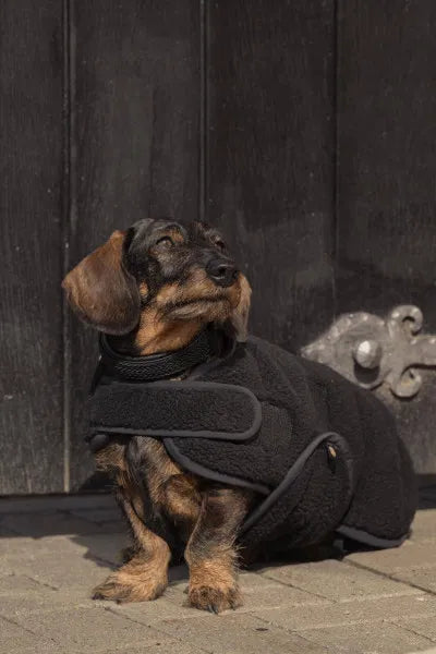 Eskadron Heritage Teddy Dog Coat